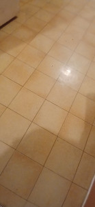 Photo de galerie - Après Intervention sol