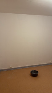 Photo de galerie - Ponçage . peinture