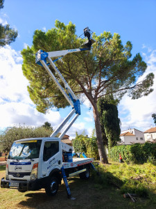 Photo de galerie - Abattage et élagage d'arbres de grande hauteur, entretien
d'espaces verts difficiles d'accès. Respect de l'environnement
et des réglementations hauteur.