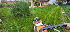 Photo de galerie - Tonte gazon 