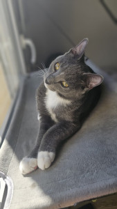 Photo de galerie - Mon petit Kiyo