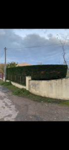 Photo de galerie - Entretien annuel