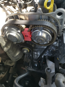 Photo de galerie - Courroie de distribution sur A3 1.0l tfsi de 2019