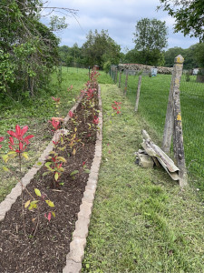 Photo de galerie - Entretien de jardin, plus petit bricolage