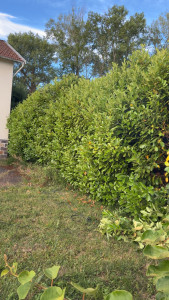 Photo de galerie - Paysagiste - Aménagement du jardin
