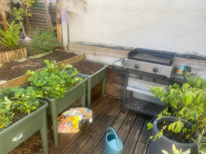 Photo de galerie - Nettoyage de Jardin