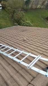 Photo de galerie - Couverture - Toiture