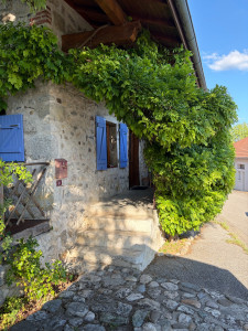 Photo de galerie - Remise en forme d’une glycine