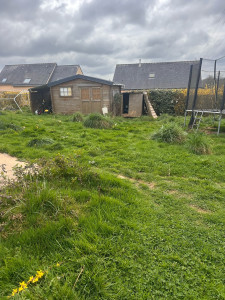 Photo de galerie - Tonte de pelouse - Débroussaillage
