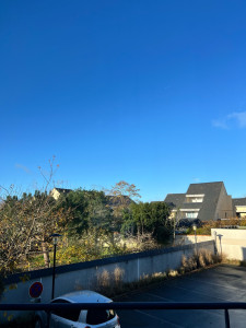 Photo de galerie - Nettoyage des vitres, je vous garantie un travail qui correspondra à vos attentes 