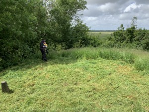 Photo de galerie - Débroussailler 