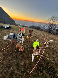 Photo de galerie - En pension le 31 et 1 janvier 2026 ! Une superbe équipe 