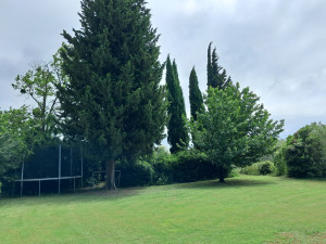 Photo de galerie - Tonte de pelouse 