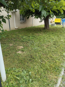 Photo de galerie - Tonte et débroussaillage 