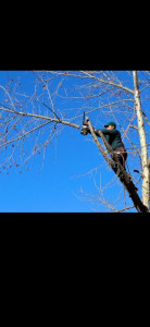 Photo de galerie - Bricolage et multi services