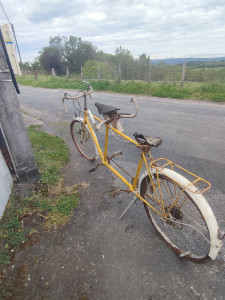 Photo de galerie - Restauration vieux tandem