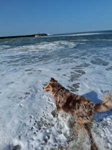 Photo de galerie - Au grand air