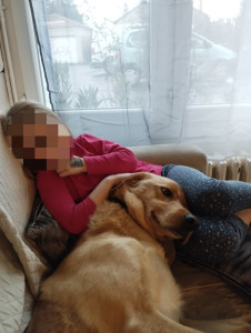 Photo de galerie - Garde chien