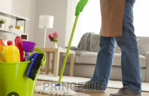 Photo de galerie - Femme de ménage 


