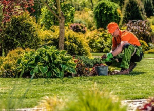 Photo de galerie - Bonjour, je peus entretenir en présence de matériel votre terrain quotidiennement ou à votre guise , votre jardin ou bien des aménagements, redonner vie à certains objets de déco de jardin création avec matériaux sur place etc 