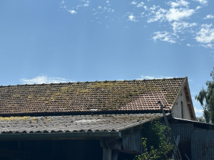 Photo de galerie - Traitement anti mousse et également nettoyage gouttière fin de chantier