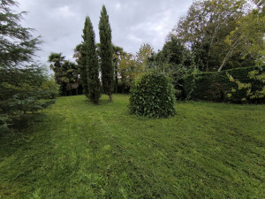 Photo de galerie - Jardin / Espace vert