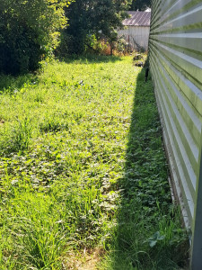 Photo de galerie - Débroussaillage entreprise sodipec avant