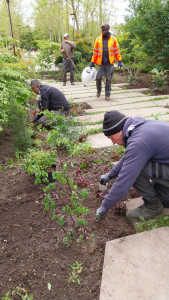 Photo de galerie - Paysagiste - Aménagement du jardin