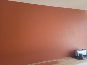 Photo de galerie - J'ai peint le mur 1 sous couche et 2 couches de peinture de finition 