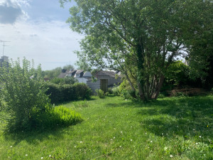 Photo de galerie - Tonte de pelouse - Débroussaillage