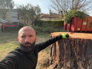 Photo de galerie - Élagage abattage à l’auteur avec camion, nacelle ou grimper