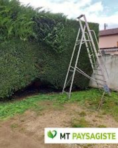 Photo de galerie - Paysagiste 