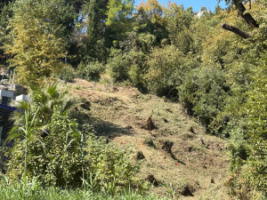 Photo de galerie - Tonte de pelouse - Débroussaillage
