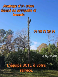 Photo de galerie - Nous avons procédé à un élagage d’arbre entreprise, JCTL 