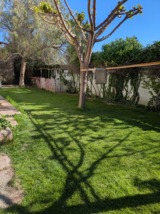 Photo de galerie - Jardin clôturé