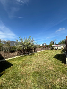 Photo de galerie - Tonte de pelouse 