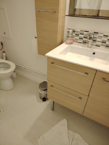 Photo de galerie - Désinfection De vos sanitaires 