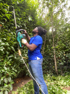 Photo de galerie - Entrain de tailler la haie d'un client 