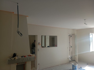 Photo de galerie - Réparation(grattage et retirer ancien papier ouverture des fissures et application d'une couche impression à l'huile) platreri .pose toile de fibre fishnet en deux général et peinture dans un salon 