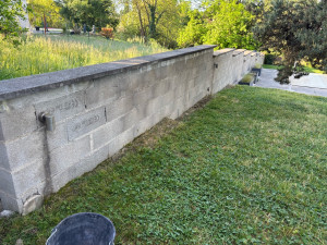 Photo de galerie - Crépis avant 