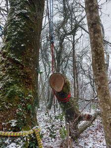 Photo de galerie - Entretien de chemin de randonnée 