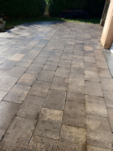 Photo de galerie - Terasse d un voisin avant nettoyage...
mousse entres les pavés  + saltés...



mousse entre les pavés  +  saltés .