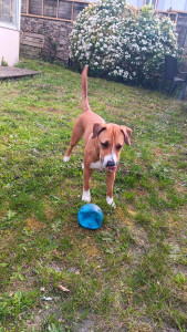 Photo de galerie - Dans mon jardin