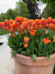 Photo de galerie - Jardinier