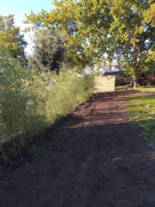 Photo de galerie - Création haie vegetal 
