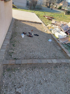 Photo de galerie - Maçonnerie