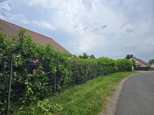 Photo de galerie - Le avant 