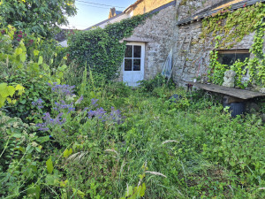 Photo de galerie - Tonte de pelouse - Débroussaillage