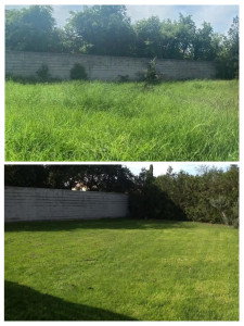 Photo de galerie - Débroussaillage-Tonte