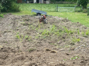 Photo de galerie - Paysagiste - Aménagement du jardin
